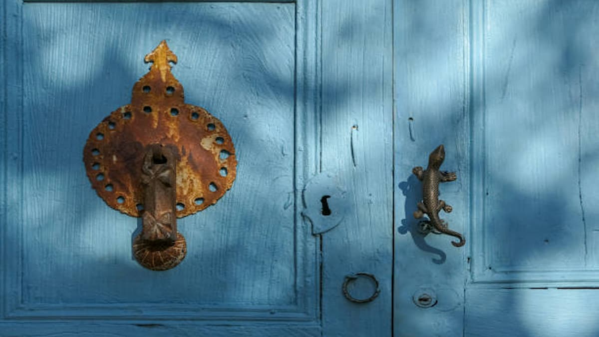 Lizard On Main Door