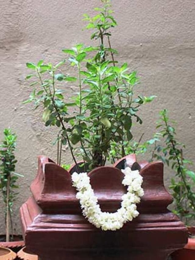 WhatsApp Image 2024-02-22 at 18.57.06_f42b3bb9