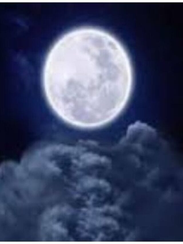 WhatsApp Image 2024-02-23 at 10.57.22_27c75e0a