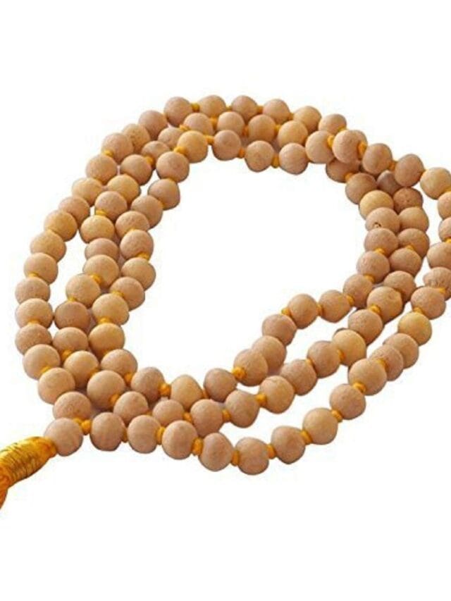 WhatsApp Image 2024-02-24 at 12.18.35_0dd94efc