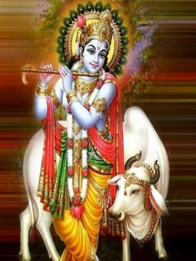 WhatsApp Image 2024-02-29 at 11.38.13_613905e0