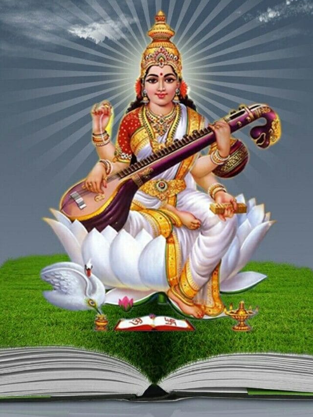 WhatsApp Image 2024-02-29 at 17.03.06_b6561292