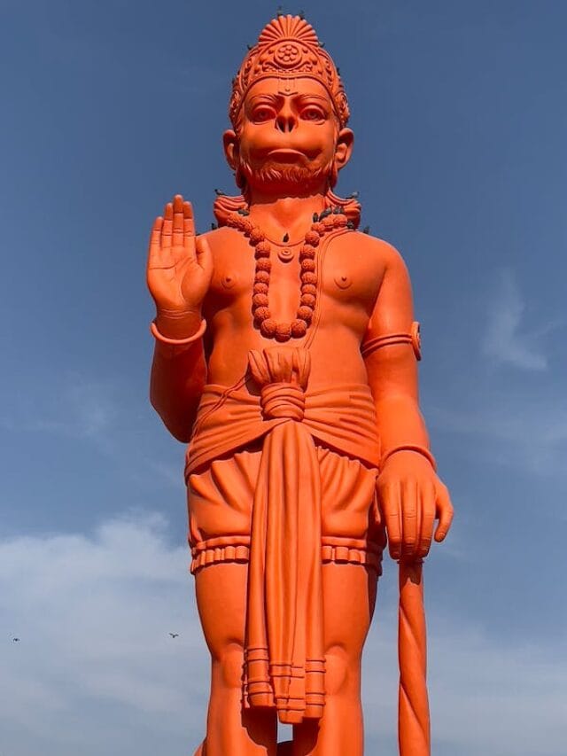 pexels-photo-10836358