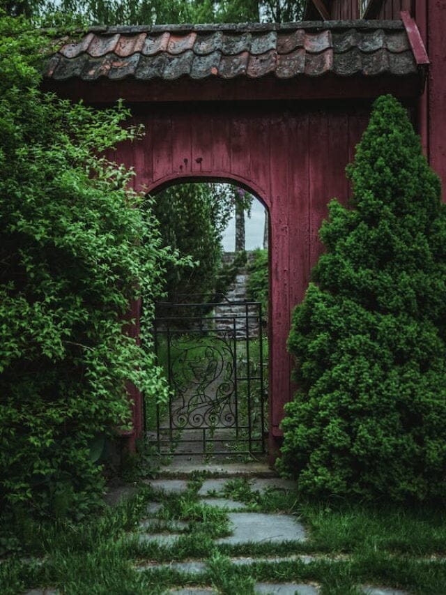 pexels-photo-2360684