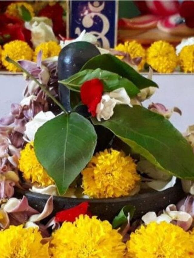 WhatsApp Image 2024-03-01 at 18.05.52_e8ada8cb