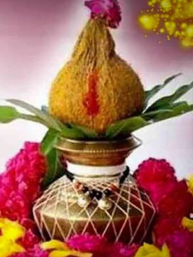 WhatsApp Image 2024-03-31 at 17.49.00_1019a659