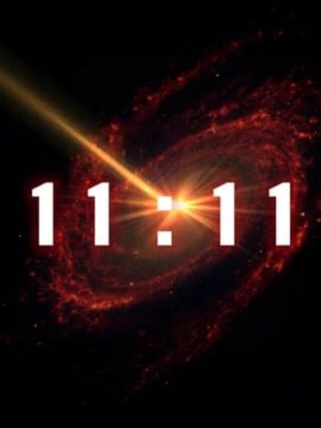 WhatsApp Image 2024-03-31 at 23.15.08_c4064086