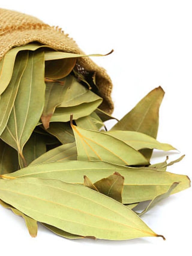 istockphoto-495081272-612x612