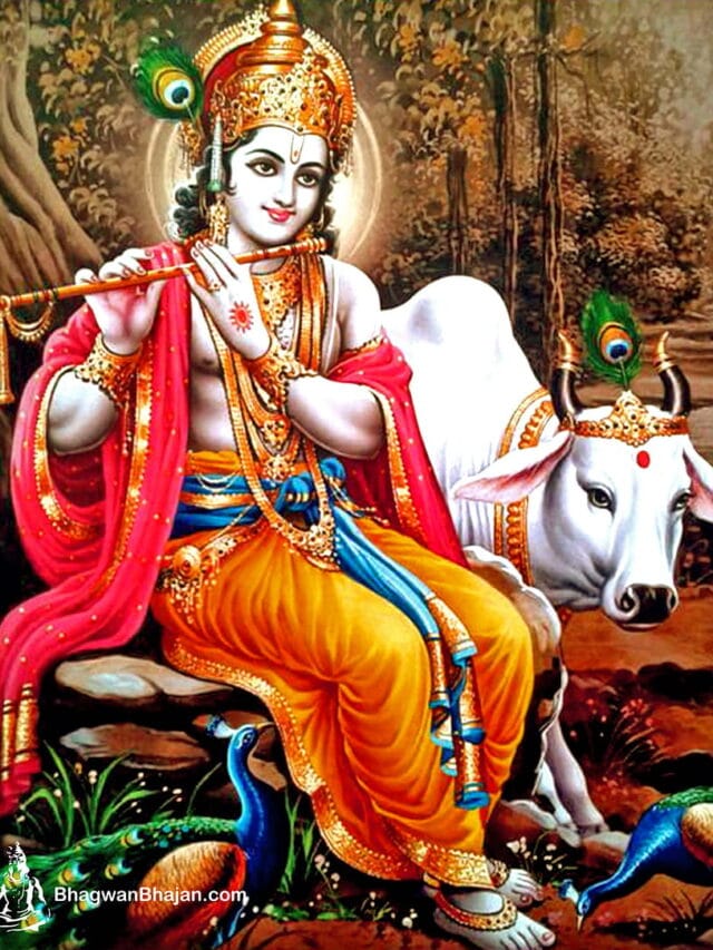 WhatsApp Image 2024-04-03 at 21.56.17_e9ef2d0e