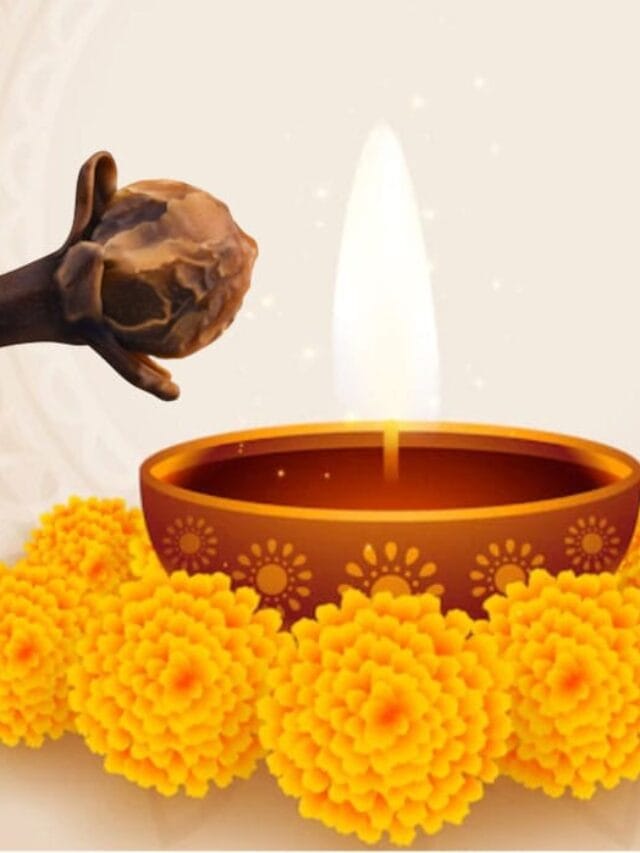 WhatsApp Image 2024-04-06 at 11.46.02_6c71c351