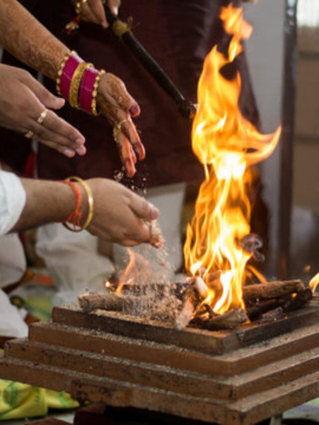 WhatsApp Image 2024-04-07 at 13.10.52_e2e5c230