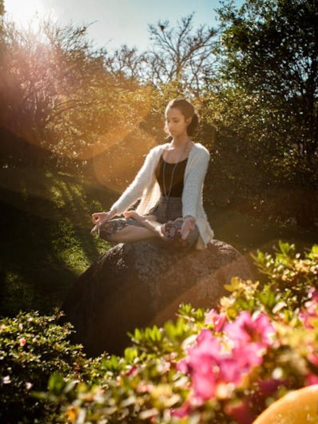 pexels-photo-2597205