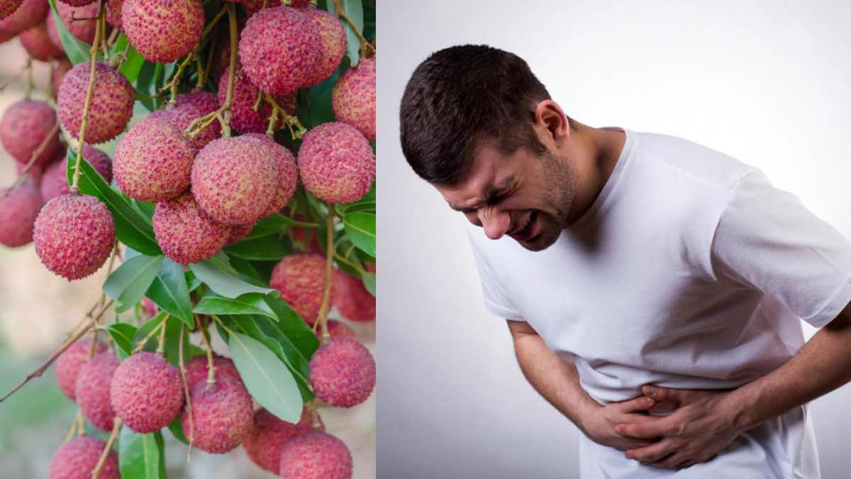 Litchi ke nuksan Lychee Side Effects Explain In Hindi