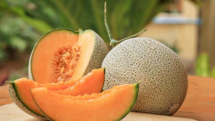 Muskmelon Benefits, Kharbuja ke Fayde, Summer Fruits,