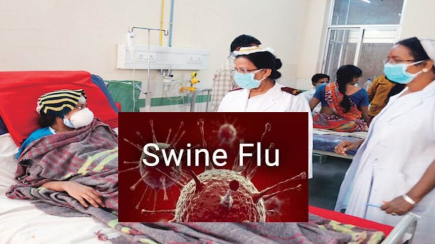 Rajasthan Swine Flu News Update