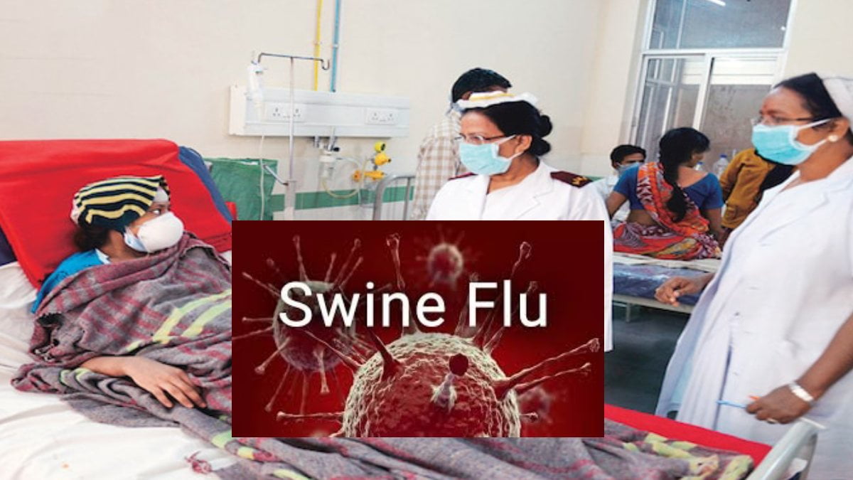 Rajasthan Swine Flu News Update