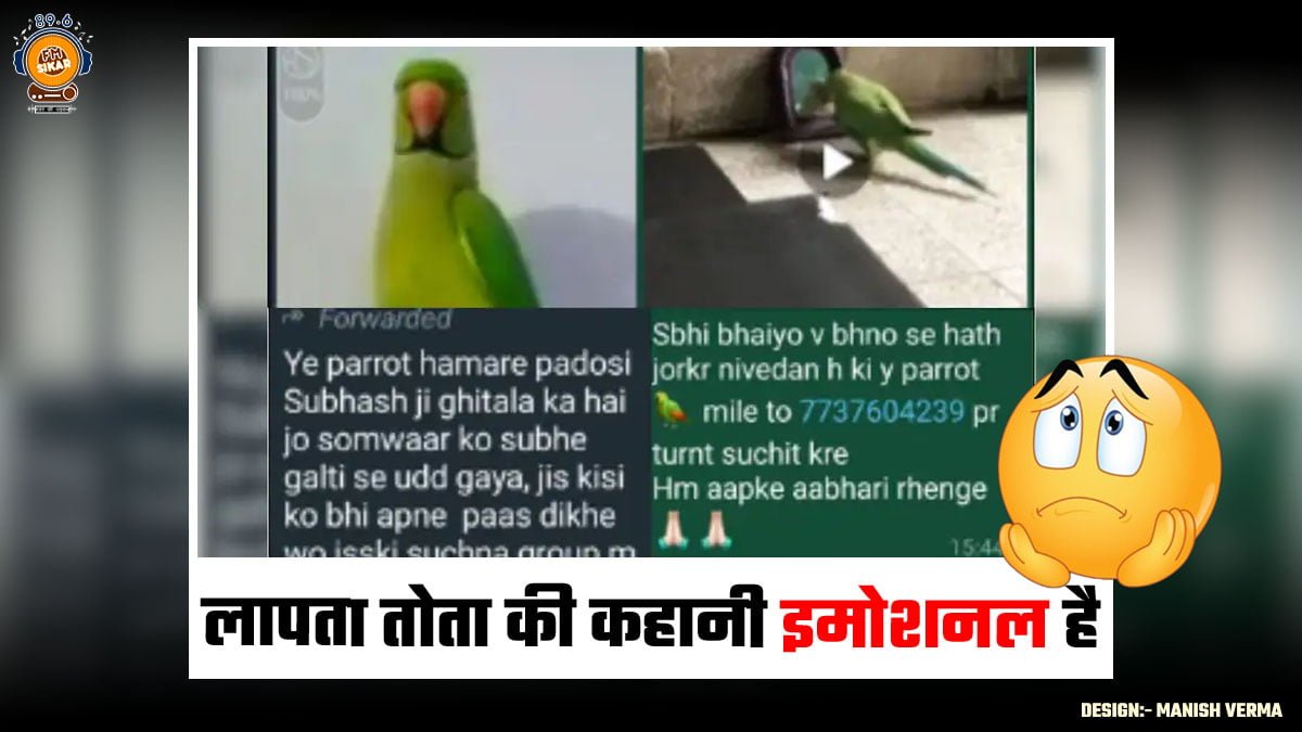 Missing Parrot In Rajasthan