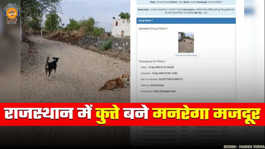 Rajasthan Manrega Dog News