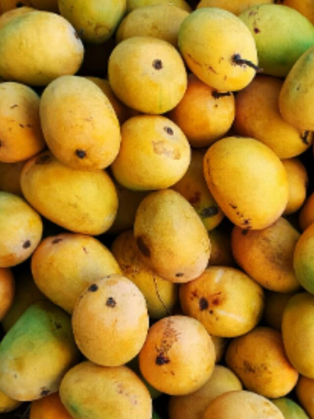 Carbide Mango Ripe