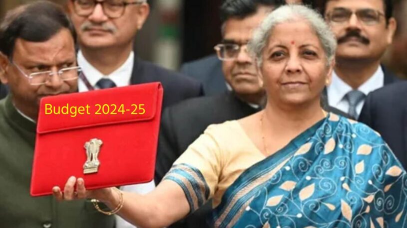 Budget 2024 Salaried Person Aam Log Get These Benefits