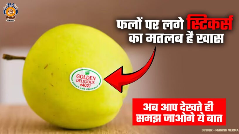 Fruit Stickers meaning in hindi