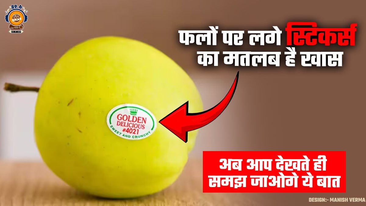 Fruit Stickers meaning in hindi