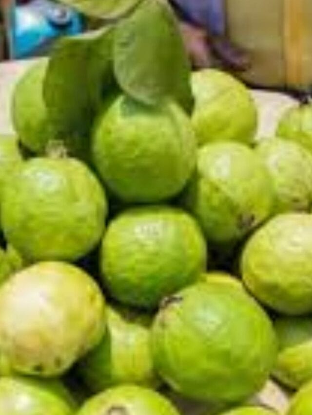 Guava Benefits