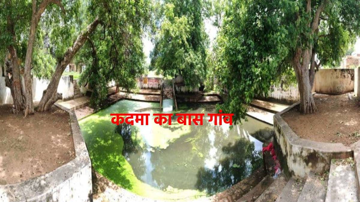 सीकर का महाभारत काल का गांव, जहां प्रकट हुए थे कृष्ण, आज भी हैं वहां कदम्ब के पेड़ | Kadmaa Ka Bas Kadmaa Ka Bas Sikar Village