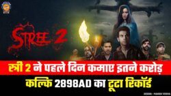 Stree 2 Box Office Collection