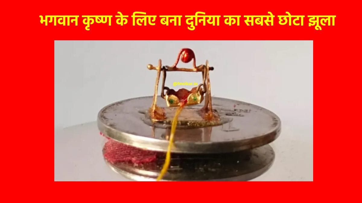 राजस्थान के कलाकार ने श्रीकृष्ण के लिए बनाया सबसे छोटा झूला, इस मंदिर में करेंगे दान | Worlds Smallest Shri Krishna Jhoola Worlds Smallest Shri Krishna Jhoola