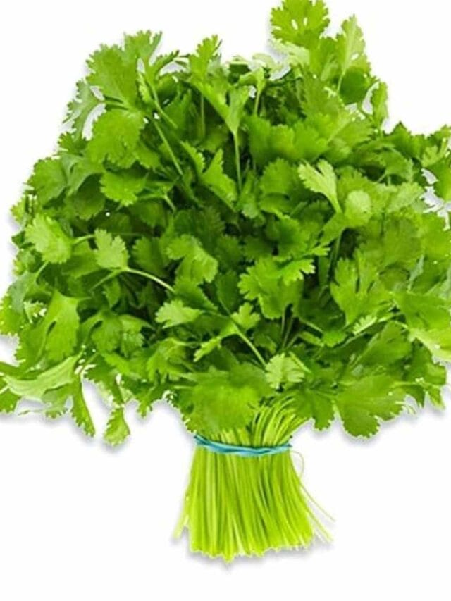 hara dhaniya store kaise kare