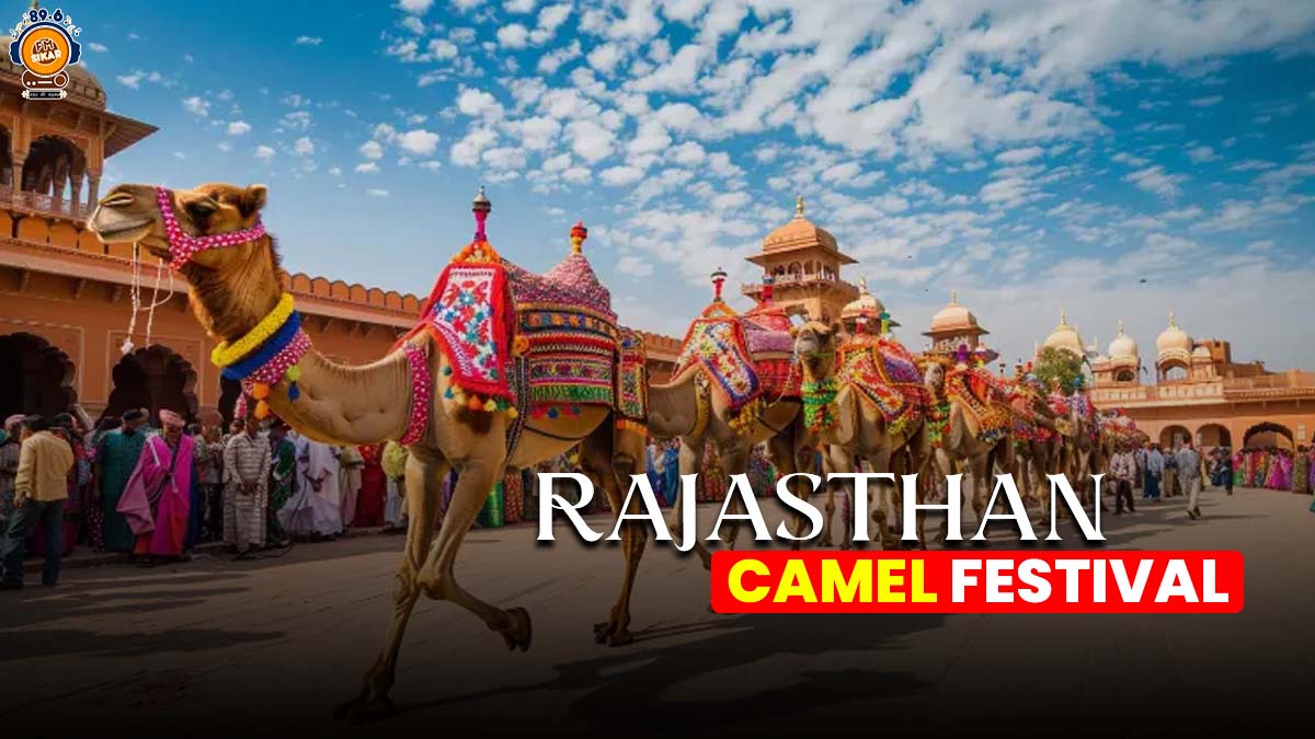 Rajasthan camel festival 2025