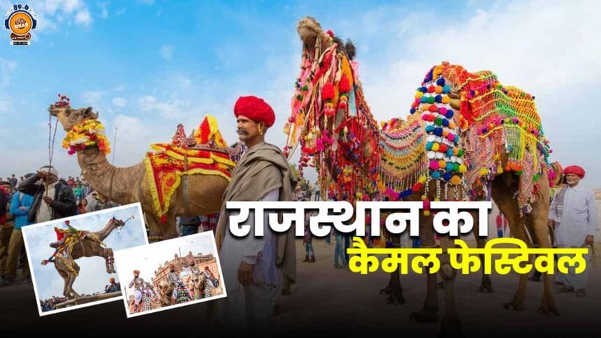 Rajasthan camel festival 2025