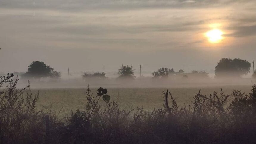 Rajasthan Weather Update: राजस्थान में ठंडी हवाओं के थमने से मौसम हुआ नरम, जानिए अपने शहर का अपडेट