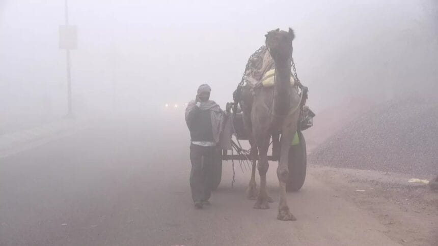 Rajasthan Weather Alert: प्रदेश में ठिठुरन बढ़ी, शेखावाटी में गिरता पारा बना परेशानी, कई ज़िले कड़ाके की ठंड की चपेट में