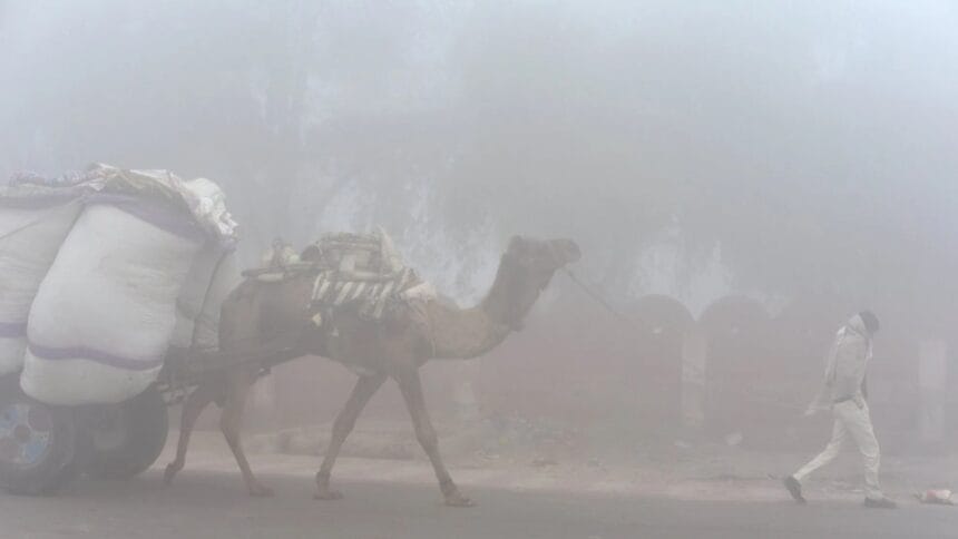 Cold Wave Alert: Rajasthan Temperature Drop from Alwar to Nagaur