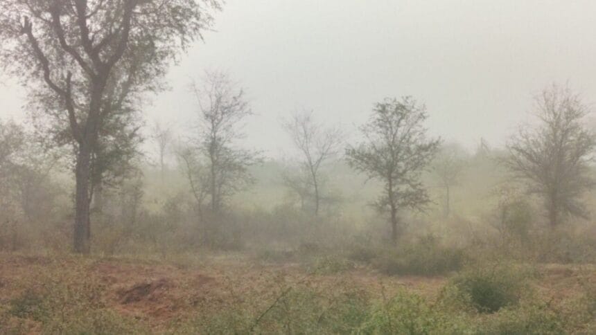 Rajasthan Cold Wave Yellow Alert in Sikar Churu Nagaur