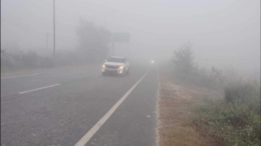 Rajasthan Cold Wave Causes Dense Fog in Kota Baran