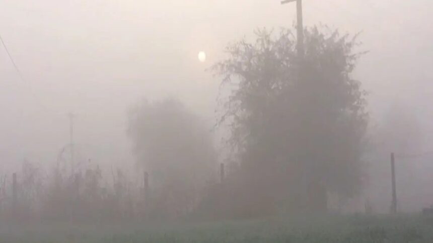 Rajasthan cold wave snow fog impact trains schools