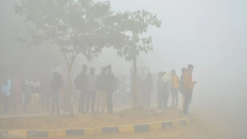 Rajasthan Weather Update Heavy Rainfall and Fog Alert