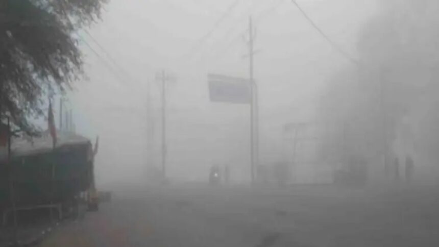 Severe Cold Wave Grips Sikar and Shekhawati Region