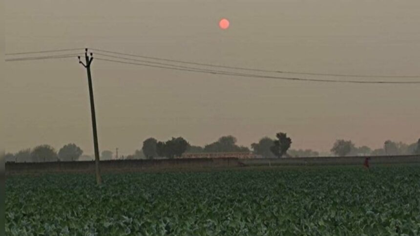 Rajasthan Heatwave Update: Barmer Records Highest Temperature