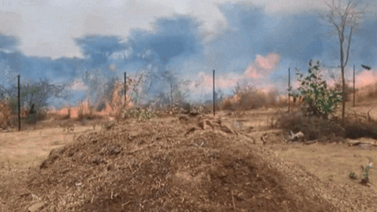 Sikar Polo Ground Fire Incident Controlled by Fire Brigade